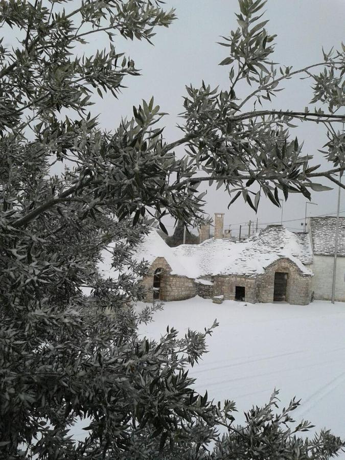 Trulli Selva E Natura Gio'.Ele 阿尔贝罗贝洛 外观 照片