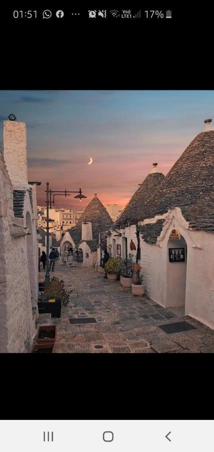 Trulli Selva E Natura Gio'.Ele 阿尔贝罗贝洛 外观 照片